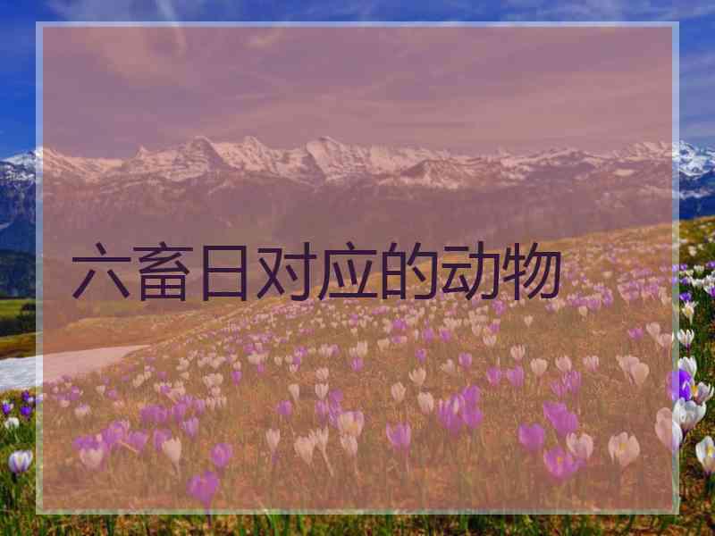 六畜日对应的动物