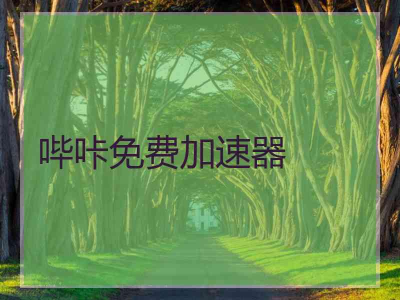 哔咔免费加速器