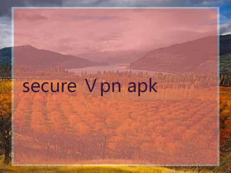 secure Ⅴpn apk