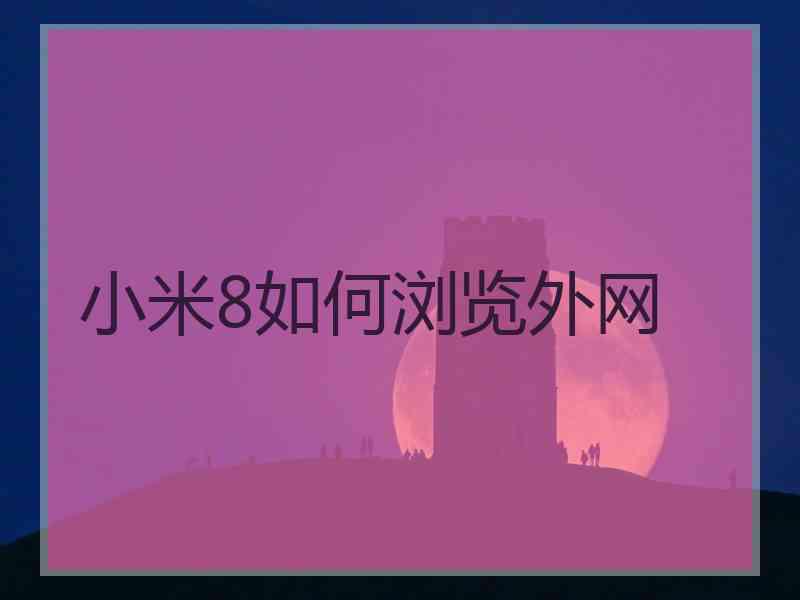 小米8如何浏览外网