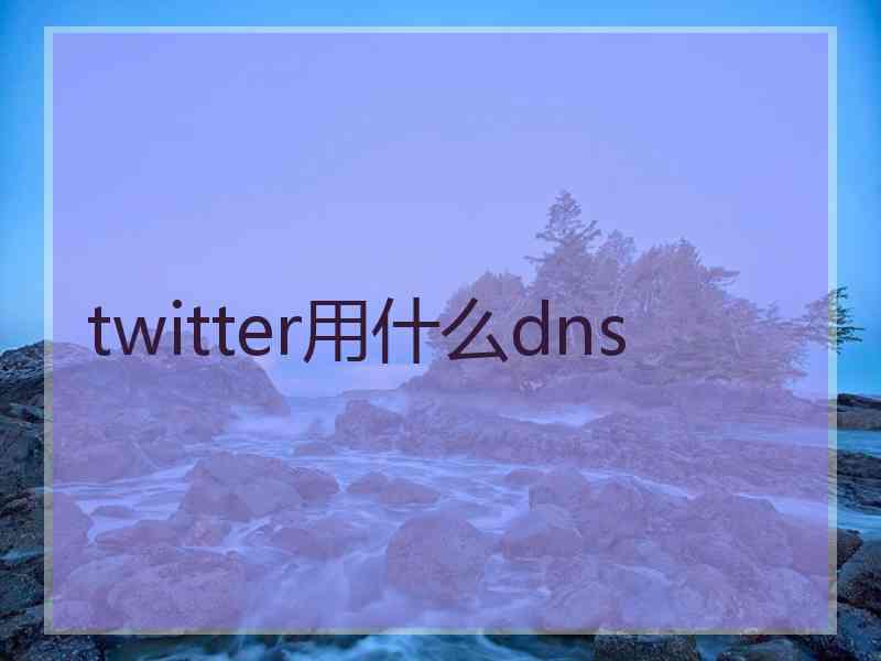 twitter用什么dns