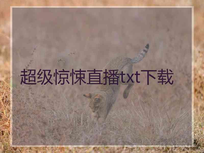 超级惊悚直播txt下载