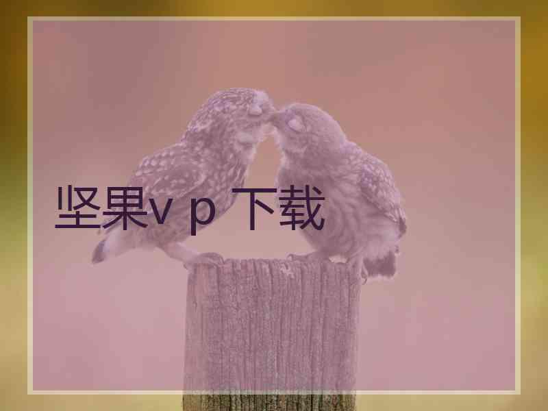 坚果v p 下载