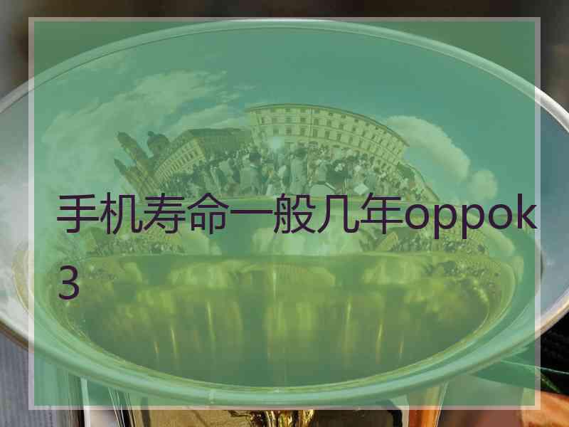 手机寿命一般几年oppok3