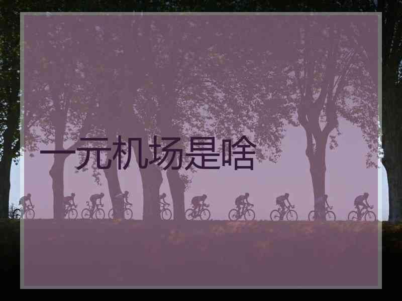 一元机场是啥