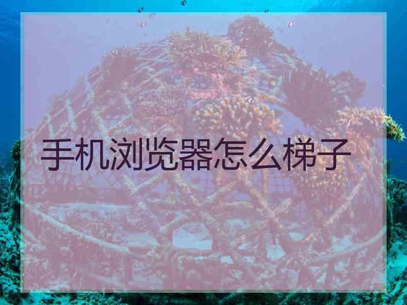 手机浏览器怎么梯子