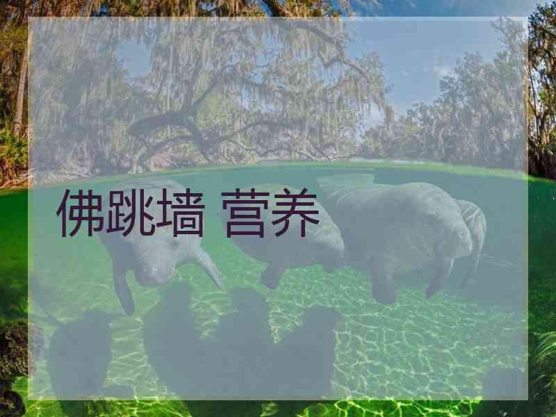 佛跳墙 营养