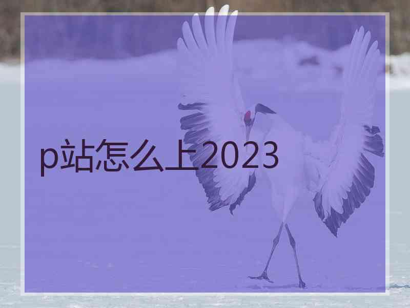 p站怎么上2023