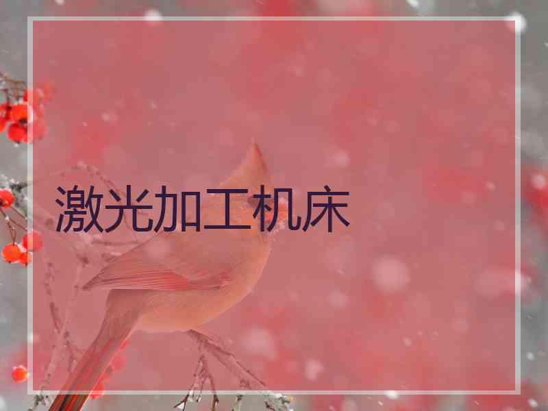 激光加工机床