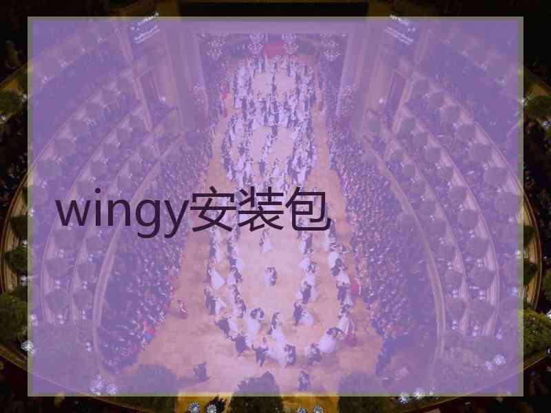 wingy安装包