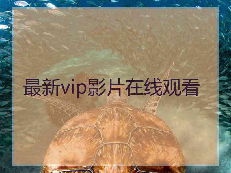 最新vip影片在线观看