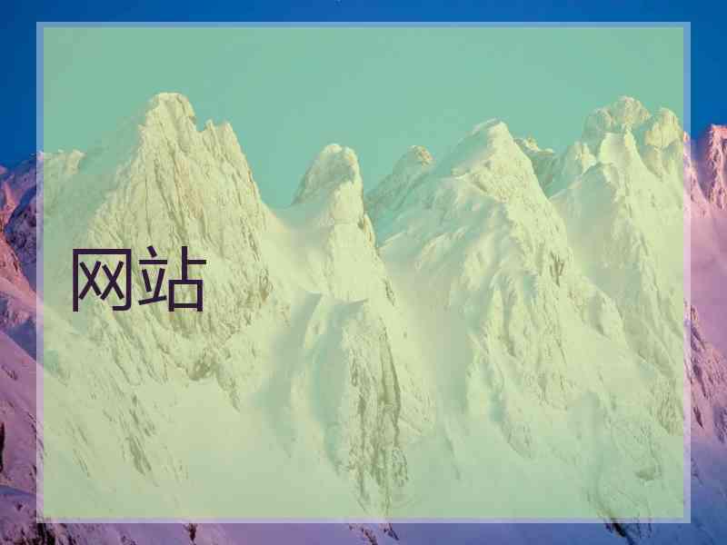 网站