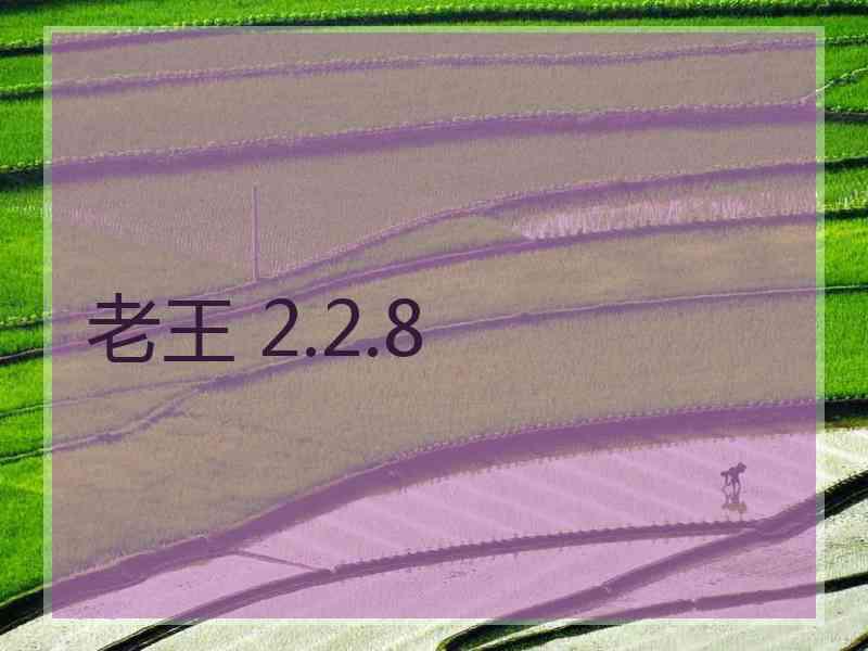老王 2.2.8