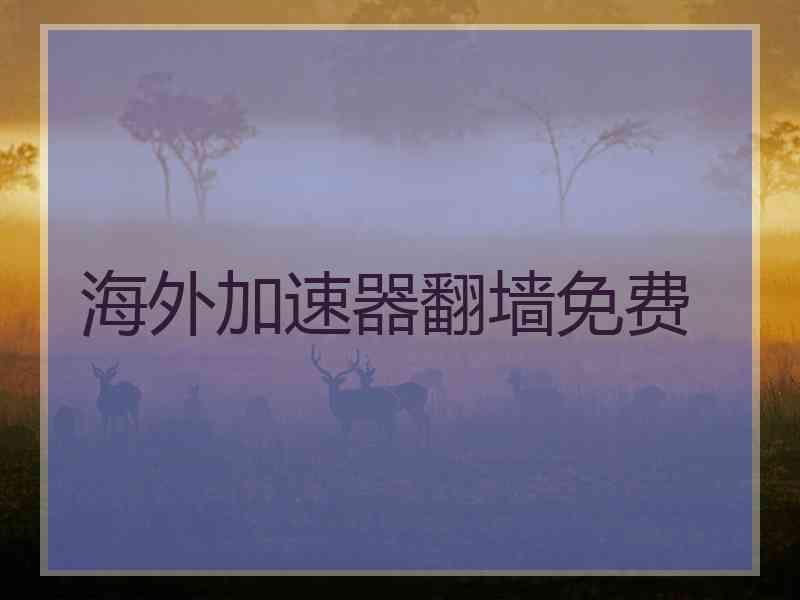 海外加速器翻墙免费