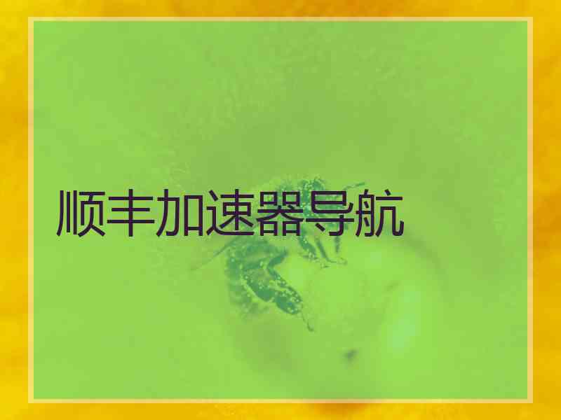 顺丰加速器导航