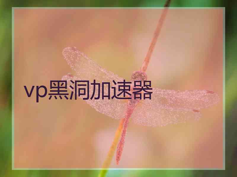 vp黑洞加速器