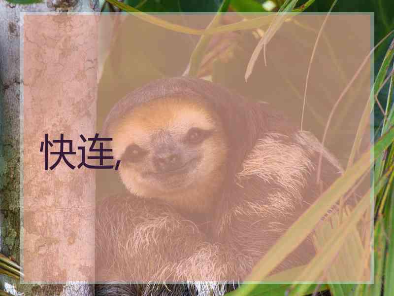快连,