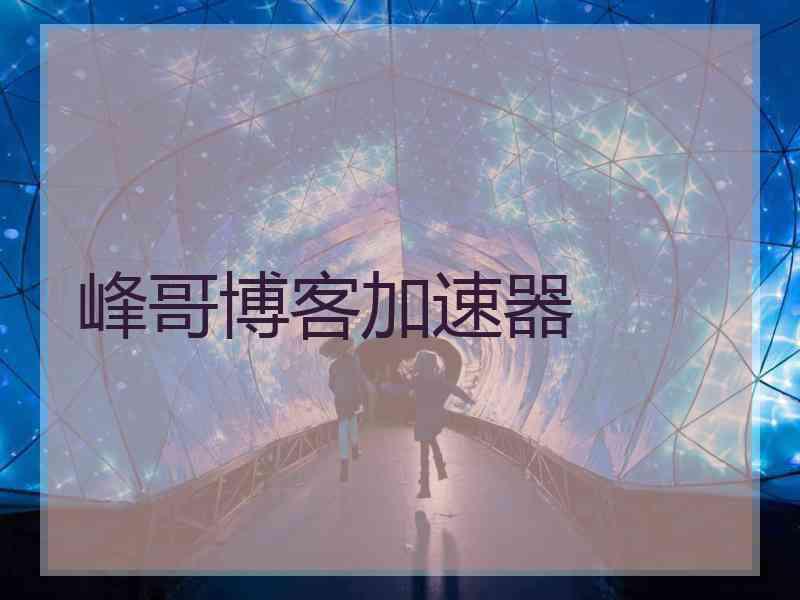 峰哥博客加速器