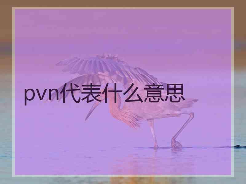 pvn代表什么意思