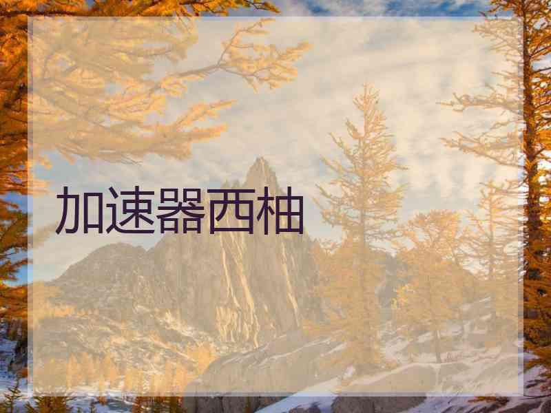 加速器西柚