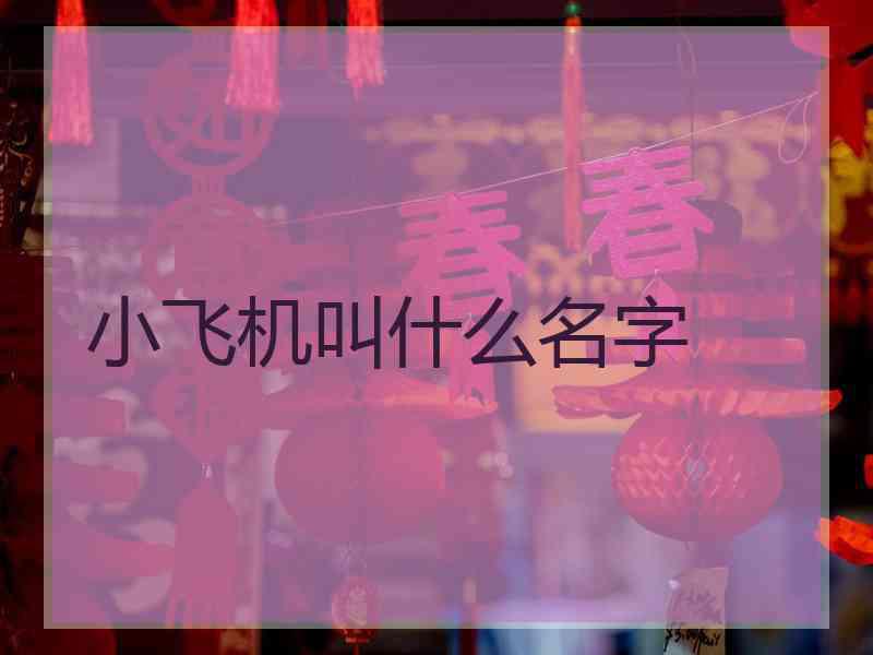 小飞机叫什么名字