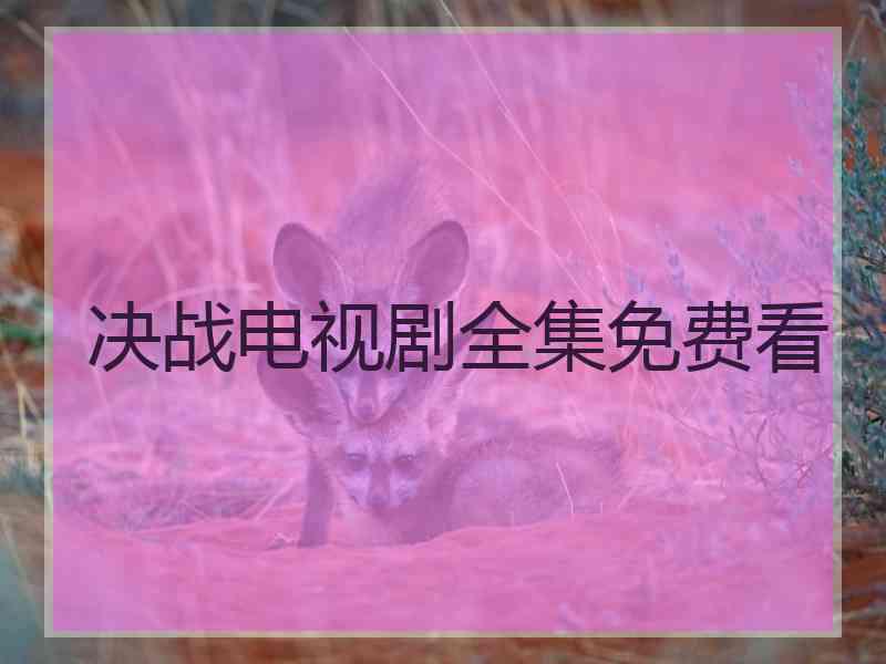 决战电视剧全集免费看