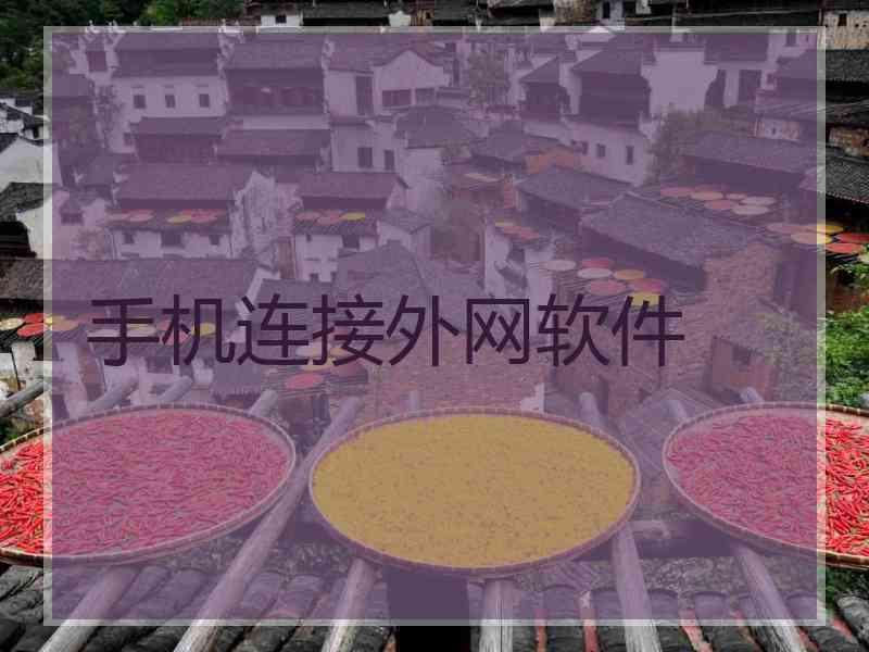 手机连接外网软件