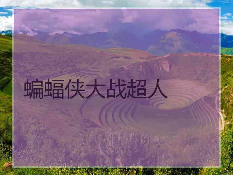 蝙蝠侠大战超人