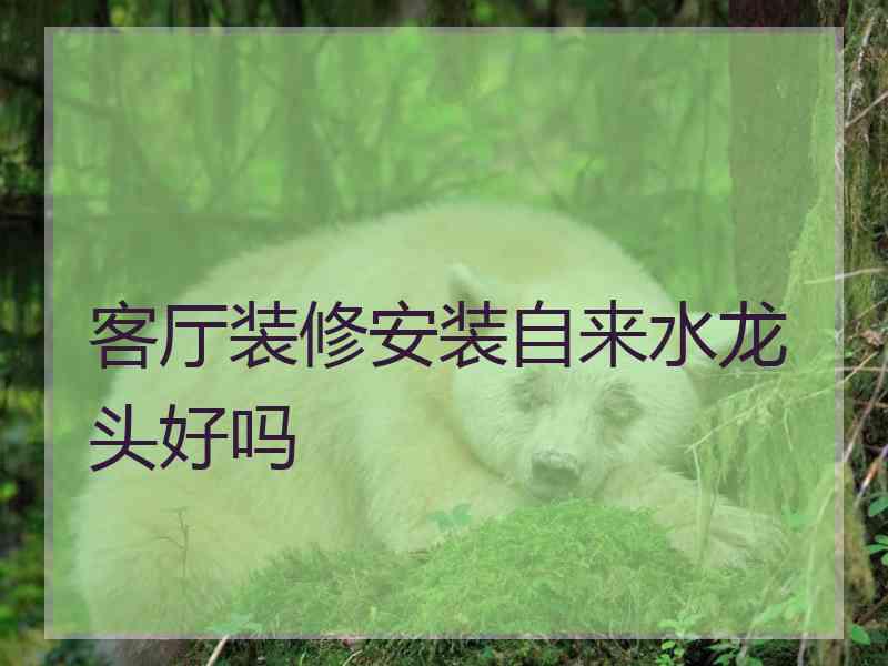 客厅装修安装自来水龙头好吗