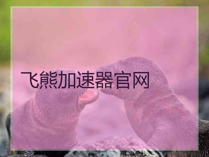 飞熊加速器官网