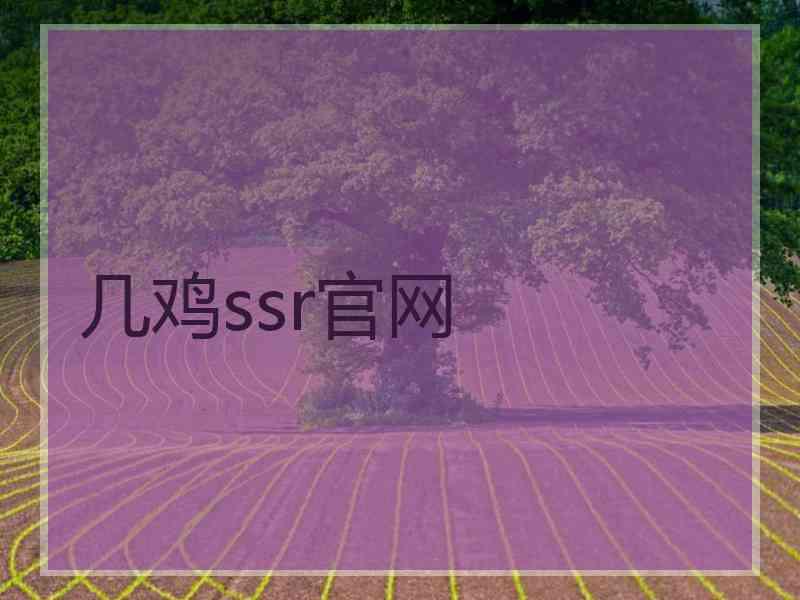 几鸡ssr官网