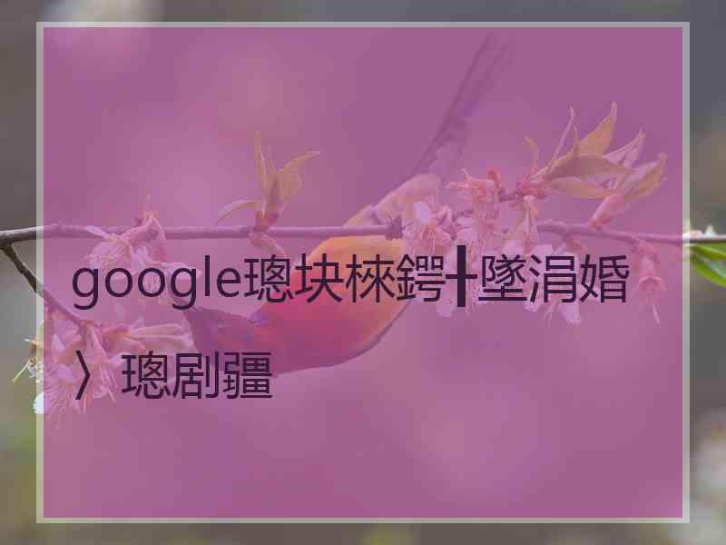 google璁块棶鍔╂墜涓婚〉璁剧疆