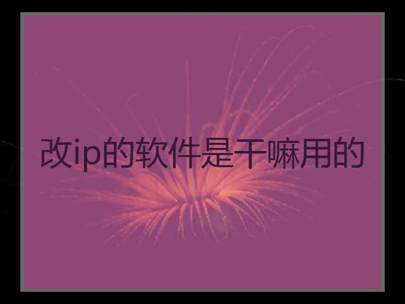 改ip的软件是干嘛用的