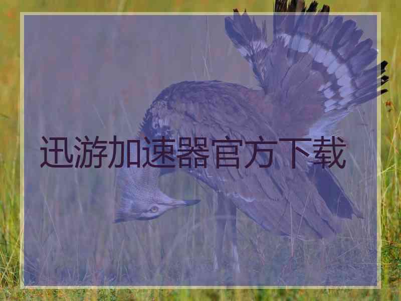迅游加速器官方下载