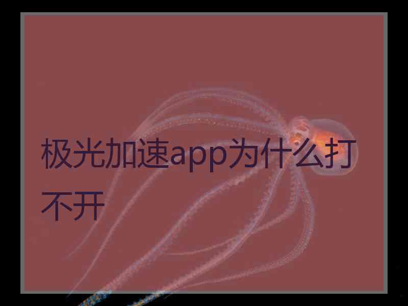 极光加速app为什么打不开