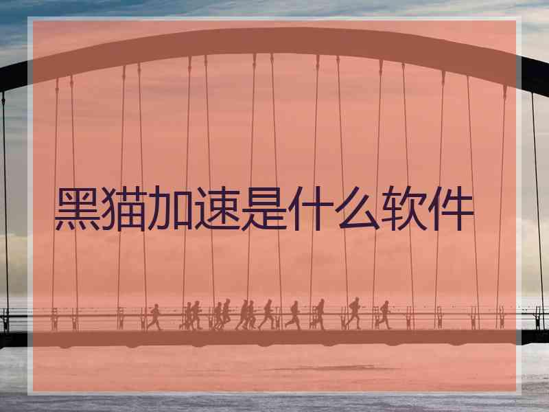 黑猫加速是什么软件