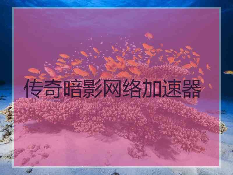 传奇暗影网络加速器