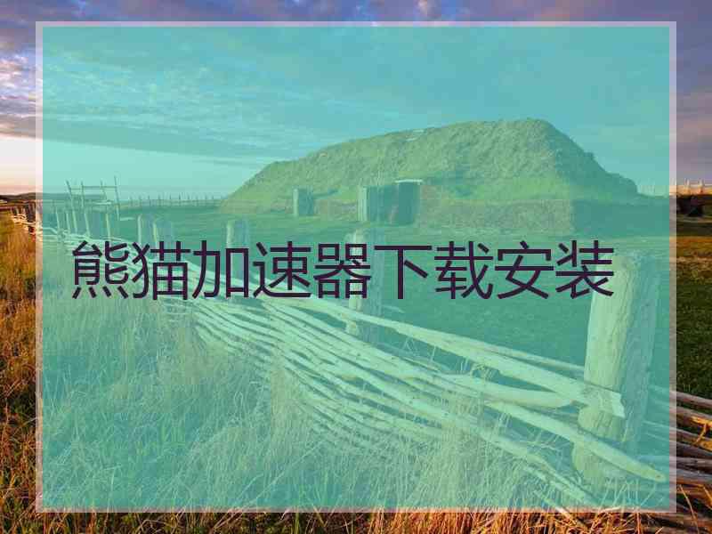 熊猫加速器下载安装