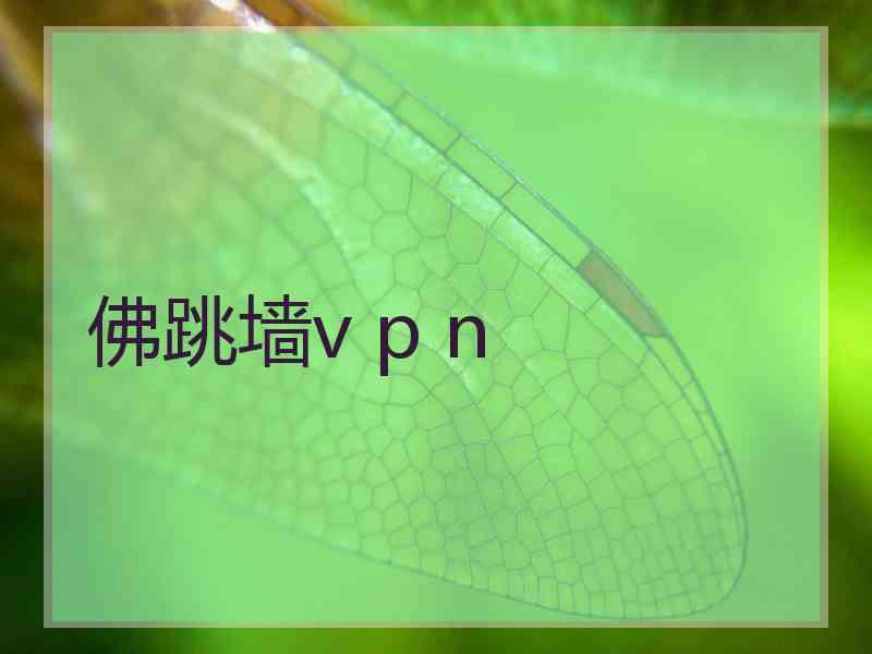 佛跳墙v p n