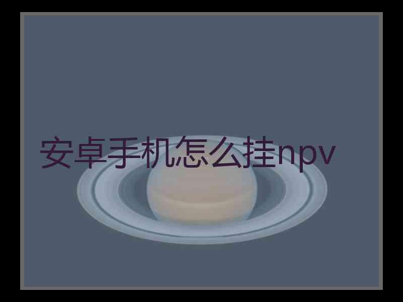 安卓手机怎么挂npv