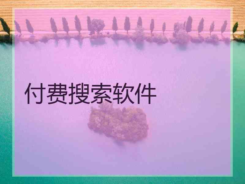 付费搜索软件