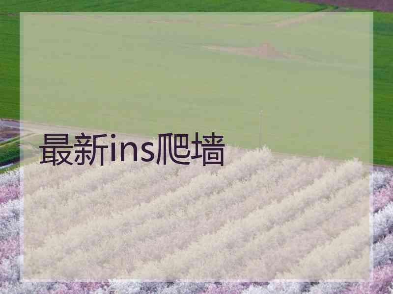 最新ins爬墙