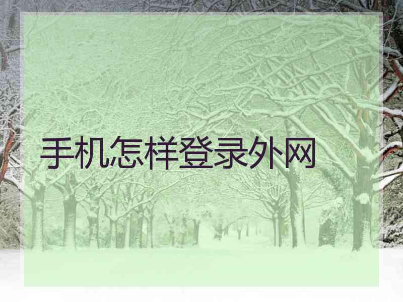 手机怎样登录外网