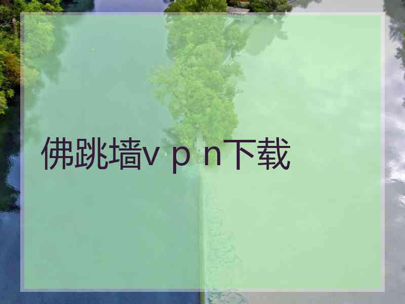 佛跳墙v p n下载