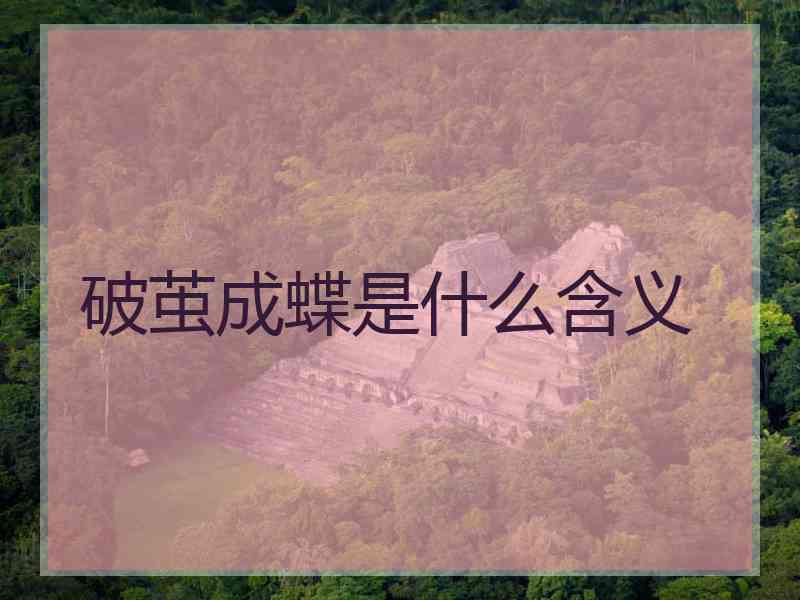 破茧成蝶是什么含义