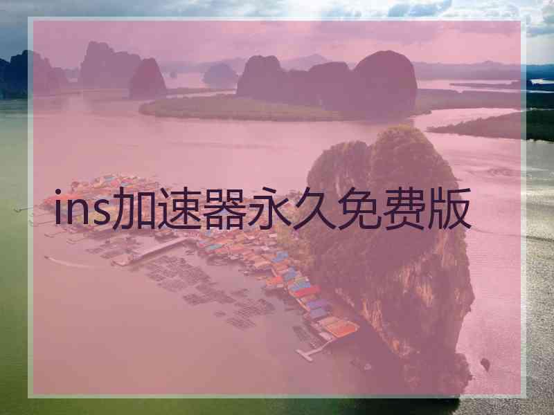 ins加速器永久免费版