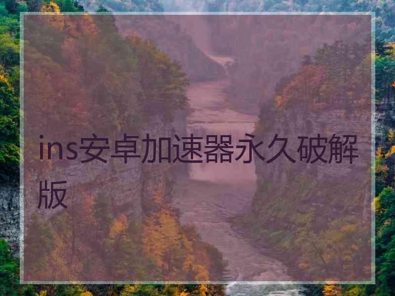 ins安卓加速器永久破解版