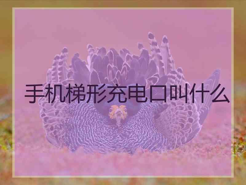 手机梯形充电口叫什么
