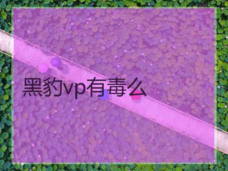 黑豹vp有毒么