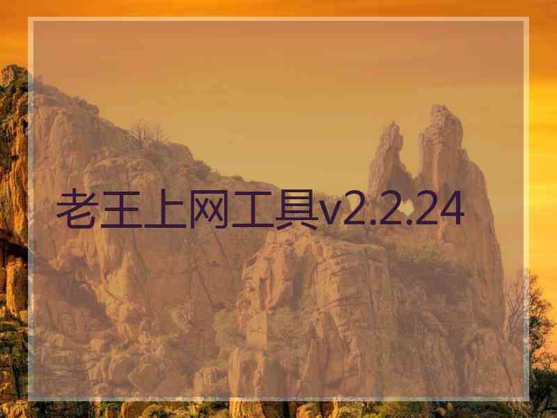 老王上网工具v2.2.24